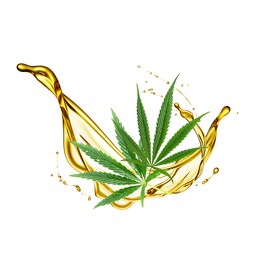 Cannabis Seed Oil - Face Mask