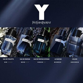 Y - Eau de Parfum