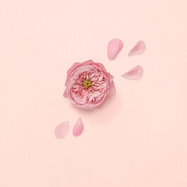 Gucci Bloom Nettare Di Fiori