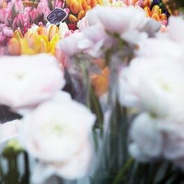 REPLICA Flower Market