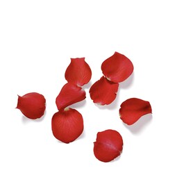 The Ritual of Ayurveda - Body cream refill