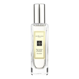 Nectarine Blossom & Honey Cologne