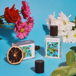 Patchouli Citrus - Eau de Parfum