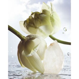 Man Rain Essence Eau de Parfum