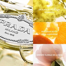 Infusion de Mimosa - Eau de Parfum