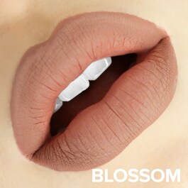 Magnetic Matte Lip Color