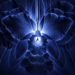ORCHIDÉE IMPÉRIALE THE ESSENCE-LOTION CONCENTRATE