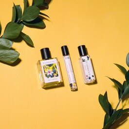Blackberry Lily - Perfume Oil