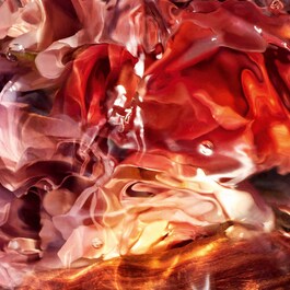 Aqua Allegoria Forte Rosa Palissandro Eau de Parfum