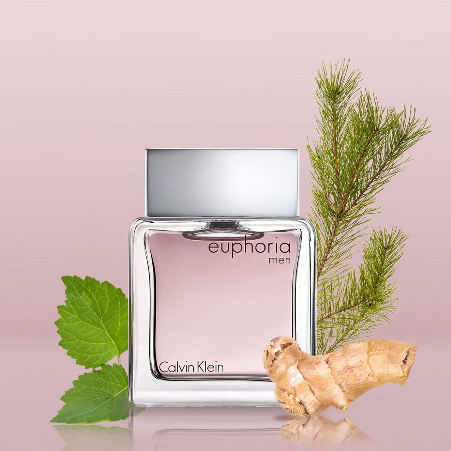 Calvin klein euphoria sephora shop
