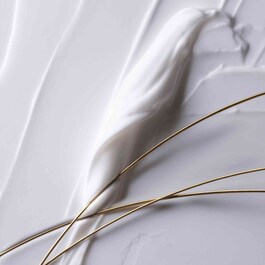 Absolue l'Extrait Ultimate Elixir Refill