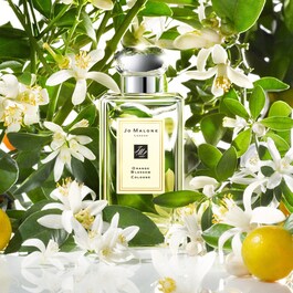 Orange Blossom - Eau de Cologne