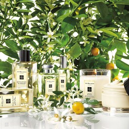 Orange Blossom - Eau de Cologne