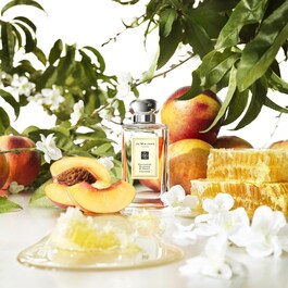 Nectarine Blossom & Honey Cologne