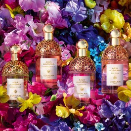 Aqua Allegoria Herba Fresca – Eau de Toilette