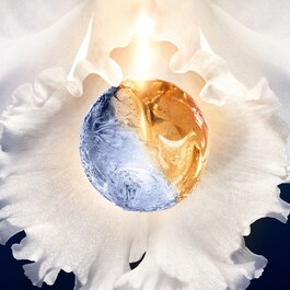 ORCHIDÉE IMPÉRIALE THE ESSENCE-LOTION CONCENTRATE