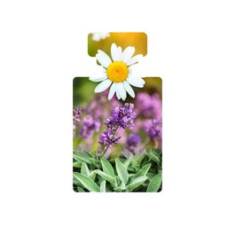 Resurrect - Clarifying Facial Toner