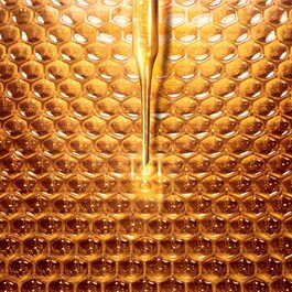 Abeille Royale - Mattifying Day Cream