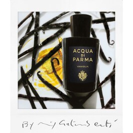 Signature Vaniglia - Eau de Parfum