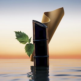 HOMME - Eau de Parfum