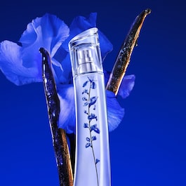 Indigo Eau de Parfum