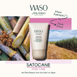WASO SATOCANE PORE PURIFY SCRUB MASK