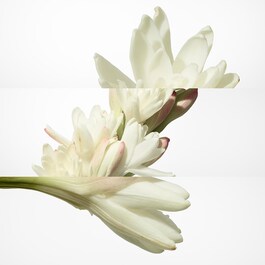Twilly d'Hermès Eau de Parfum