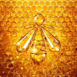 Abeille Royale Eye R Repair - Serum