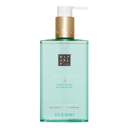 The Ritual of Karma Hand Wash