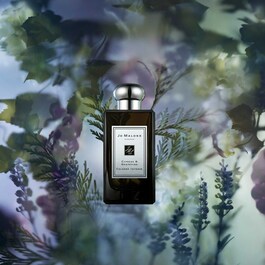 Cypress & Grapevine Cologne Intense