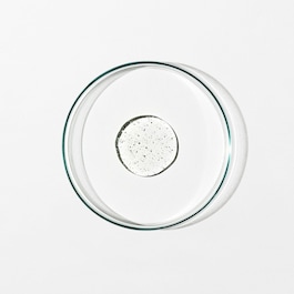 Body Cleanser: Chamomile, Bergamot, Rose