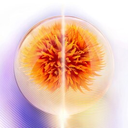 VITAL PERFECTION  ADVANCED OVERNIGHT TREATMENT - Κρέμα νυκτός
