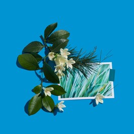 Vetiver Fatal Pure Perfume - Cologne Absolue