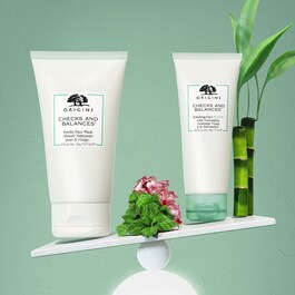 Checks and Balances - Frothy Face Wash