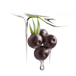 Acai Berries UFO-Activated Mask