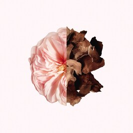 Irresistible Givenchy - Hair Mist