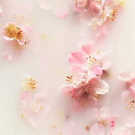 The Ritual of Sakura - Scented Candle 290g