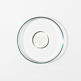 Detox Shampoo 0.1