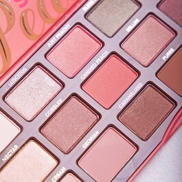 Sweet Peach Eye Shadow Collection Palette