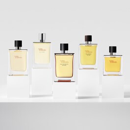 Terre d'Hermès – Eau de Parfum Intense                            Refill 200ml