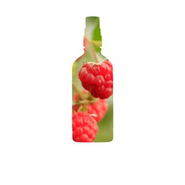 Ananda - Antioxidant-Rich Gentle Toner