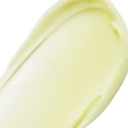 Tint & Treat Lip Care