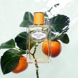 Les Infusions De Mandarine EDP