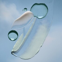 The Cleansing Foam