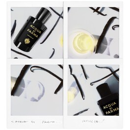 Signature Vaniglia - Eau de Parfum