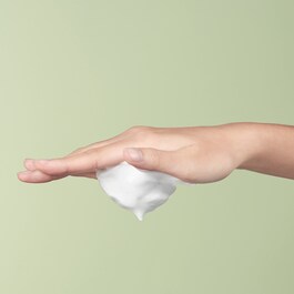 Green Tea Hydrating Amino Acid Cleansing Foam