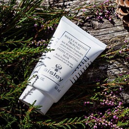Deeply Purifying Mask with Tropical Resins