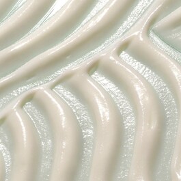 Global Protection Day Cream