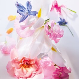 Miss Dior - Eau de Parfum - floral and fresh notes - couture bow