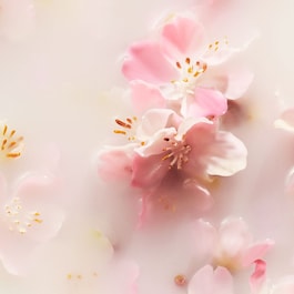 The Ritual of Sakura - Ανταλλακτικό αρωματικών στικ